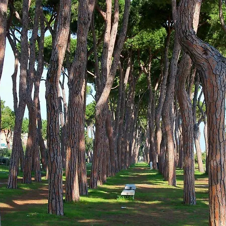 Lo Scrigno 2 Appartamento Pineto